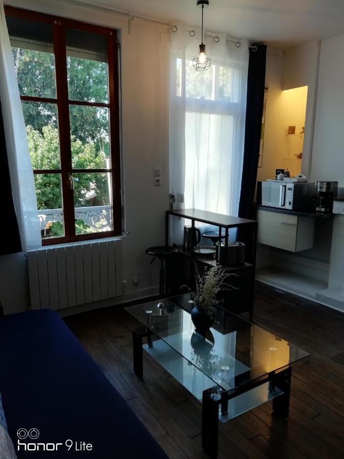Centre Troyes Avec Vue Sur Parc, Simplicite D'Acces, Charme Et Confort Garanti Ngoại thất bức ảnh
