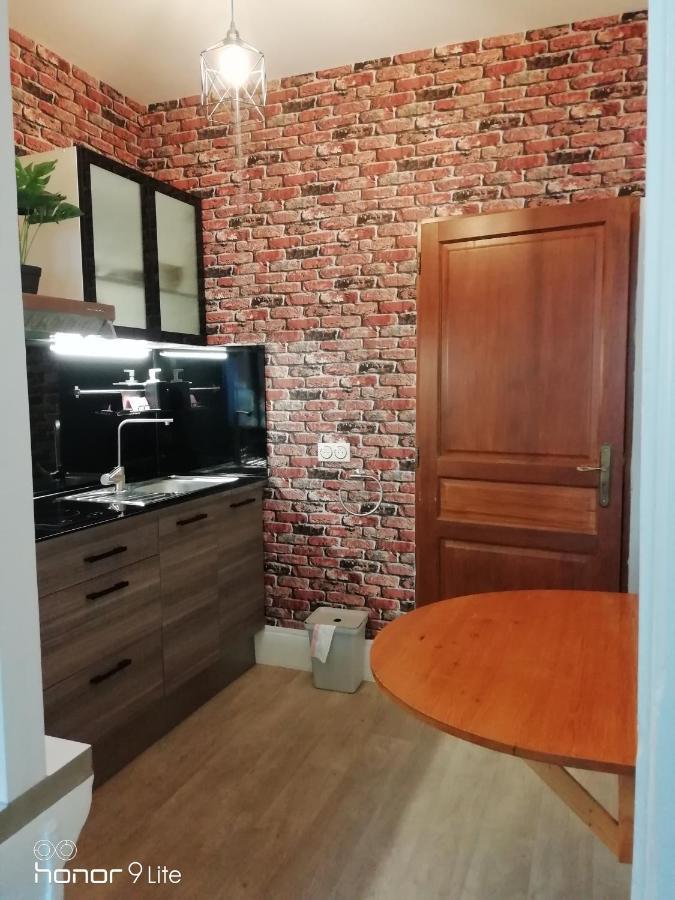 Centre Troyes Avec Vue Sur Parc, Simplicite D'Acces, Charme Et Confort Garanti Ngoại thất bức ảnh