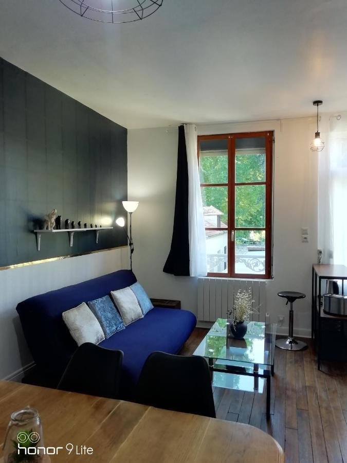 Centre Troyes Avec Vue Sur Parc, Simplicite D'Acces, Charme Et Confort Garanti Ngoại thất bức ảnh